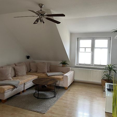 Bambus, Jungle, Dachterrasse & Bequem Bis Zentrum ラーデボイル エクステリア 写真